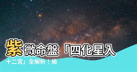 星盤 飛入|十二宮位的飛星專論